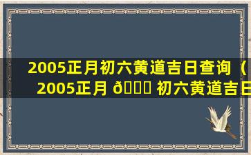 2005正月初六黄道吉日查询（2005正月 🐕 初六黄道吉日查询最新）